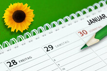 Kalender 28. Und 29. Januar 2022 Freitag Und Samstag Mit Sonnenblume Auf Grünem Hintergrund