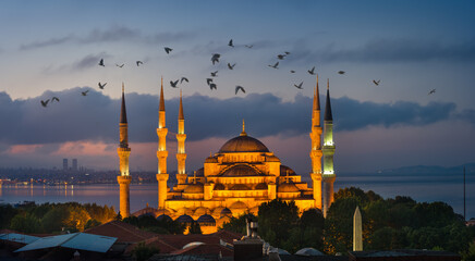 Wall Mural - Turkish Blue Mosque