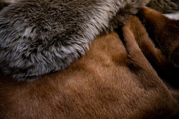 natural animal skins stacked in a pile for sale. cow and sheep skin