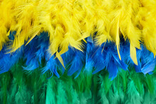 Brazilian Background From Feathers In The Brazilian Ethnic Color. Rio Carnival, Mardi Gras Background
