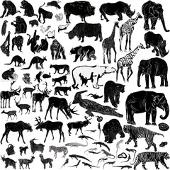 Sticker - large set of animals black isolated silhouettes