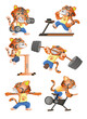 Collection of little Chinese new year cute tiger symbol goes in for sports. Tiger lifts dumbbells, barbell, runs on a treadmill, on a bike, push-ups. Workout cartoon character illustration