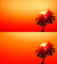 Dark Palm Trees Silhouette On A Colorful Sunset Background. 