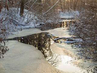 Poster - Frozen river in the park.