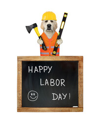 Wall Mural - A dog labrador in a construction helmet with an ax and a level is near a blackboard. Happy labor day.  White background. Isolated.