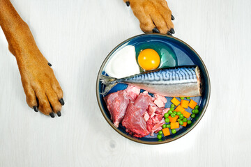 Wall Mural - Natural raw dog food. Dog food bowl of fresh raw meat, fish and vegetables and dog paws on grey background. 