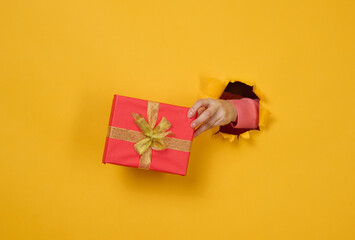 Wall Mural - female hand holds a box with a gift on a yellow background, part of the body sticks out of a torn hole in a paper background. Congratulation, holiday surprise