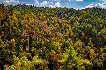 Wall Mural - Linville Falls State Park North Carolina