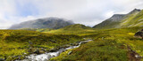 Fototapeta Fototapety góry  - Peaceful stream flowing through a green mountain landscape
