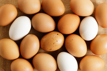 Wall Mural - Eggs with brown and white colors as background.