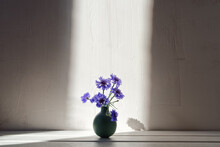 A Bouquet Of Wild Cornflowers Is In A Small Vase Against A White Textured Wall On A Wooden Table And Illuminated By The Sun's Rays From The Window. A Simple Rustic Flower Arrangement. Copy Space.