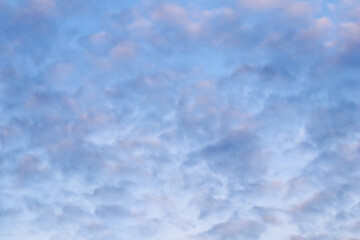 Wall Mural - Blue sky background with white pink clouds at sunset