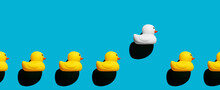 Rubber Duck Stands Out From The Crowd. Diversity, Individuality, Difference, Minority Or Independence In Business