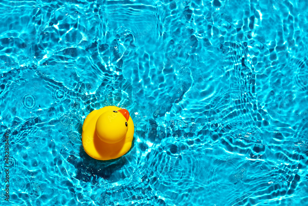 Yellow rubber duck toy floating on a swimming pool Stock Photo | Adobe ...