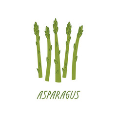 Stems of asparagus on a white background. Vector flat illustration with green vegetables. Organic plant food