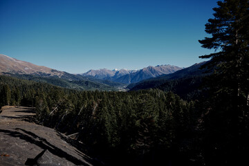 Poster - trees mountains rocks forest landscape fresh air nature