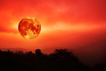 Wall Mural - blood moon concept of a red full moon in red sky with cloud.