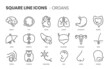 Organs related, pixel perfect, editable stroke, up scalable square line vector icon set.