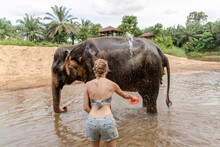 Woman Bathing Elephant In River