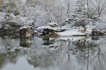 冬のびわこ文化公園の庭園の風景