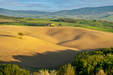 Italy, Province of Siena, Springtime fields in ValdOrcia