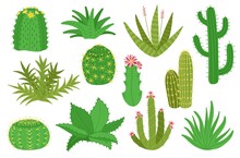 Cacti Collection. Cactus Plants, Isolated Mexican Desert Decorative Succulents For Home Gardening. Cartoon House Garden Elements With Flower, Decent Vector Kit