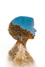 Double Exposure Of Woman With Coniferous Forest