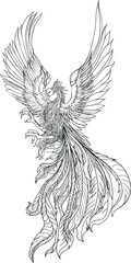 Phoenix Fire bird illustration and character design.Hand drawn Phoenix tattoo Japanese and Chinese style,Legend of the Firebird is Russian fairy tales and it is creature from Slavic folklore.