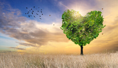Fotomurales - Heart Tree Love For Nature Landscape