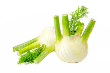 Wall Mural - Fresh fennel bulb isolated on white background