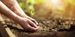 © candy1812 - Human hands taking care of a seedling in the soil