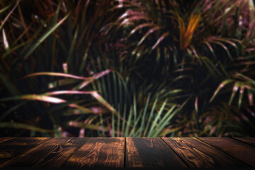 Jungle table background. Wooden table for item against the backdrop of tropical plants, palms and jungle.