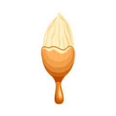 Poster - Peeled almond nut in liquid caramel. Nutritious natural sweet dessert vector illustration