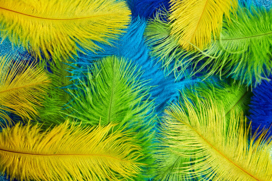 brazilian background from feathers in the brazilian ethnic color. rio carnival, mardi gras backgroun