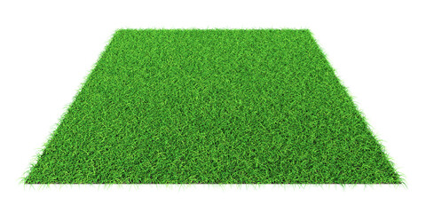 Grass shape - design element isolated