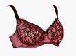 © Pavel - Women's lace bra push up red color on a white background.
