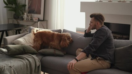 Happy man sitting on the couch and playing with dog