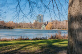 Fototapeta Storczyk - Winter in Central Park, New York, United States.