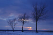 Trzy drzewa podczas zachodu słońca, błękitne niebo.