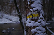 Znaki oznaczające drogę szlaku turystycznego, zimowa pora.