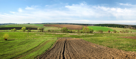 Wall Mural - plowed lands with green winter wheat, spring field relief hilly landscape in the background