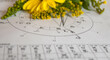 Close up of a natal chart with astrology planets, Jupiter, Uranus and Pluto; yellow flowers in the background