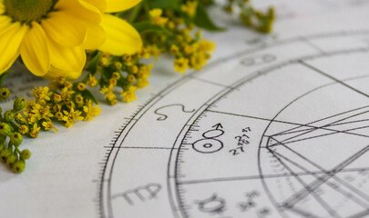 Wall Mural - Detail of a natal chart with Mars planet and Sun; yellow flowers in the background