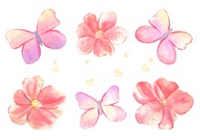  Сute Watercolor Flowers And Butterflies On An Isolated White Background