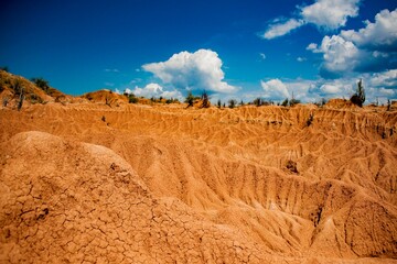 red desert wild west