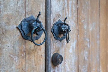 Wall Mural - Classic brass door handle or doorknobs elephant head on the old wooden door.