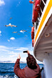 Feeding flying seagulls by people from the ferryboat