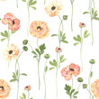 Floral seamless pattern with delicate flowers ranunculus on white background, watercolor illustration for textile or wallpapers.
