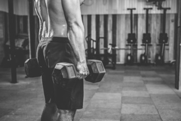 Wall Mural - Muscular man holding heavy dumbbells in the gym