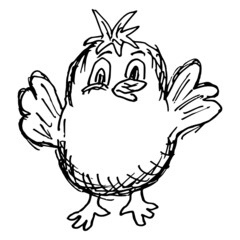 Wall Mural - A friendly little chick raised his wings up. Rough black and white freehand line vector drawing, isolated on transparent background